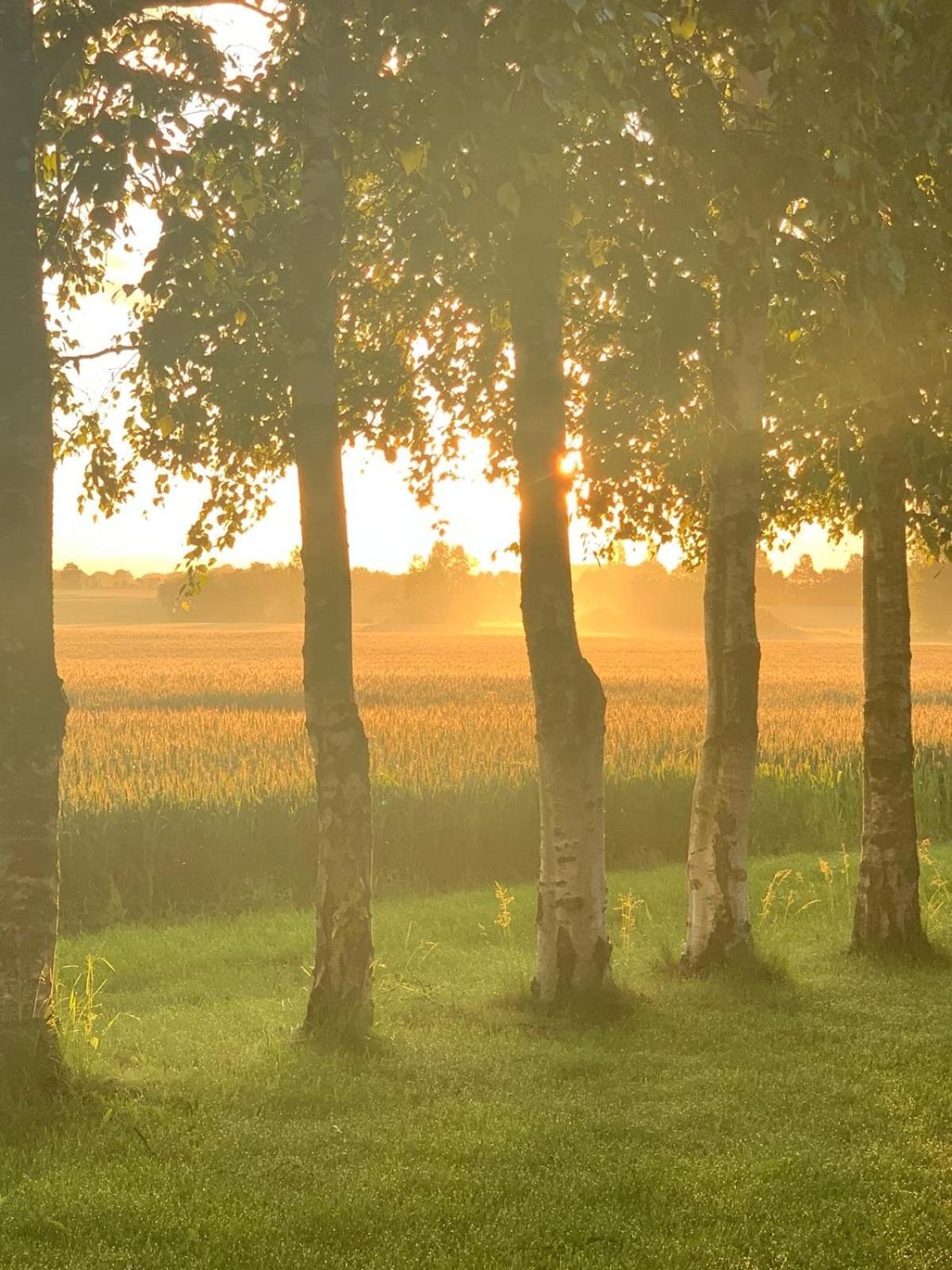 Romantik Luxus Glamping 2 Idestrup Zewnętrze zdjęcie